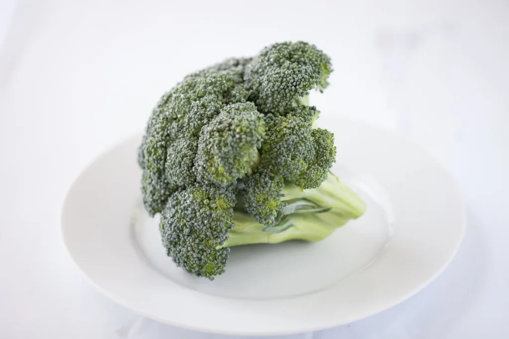Substitutes for Brussel Sprouts - broccoli