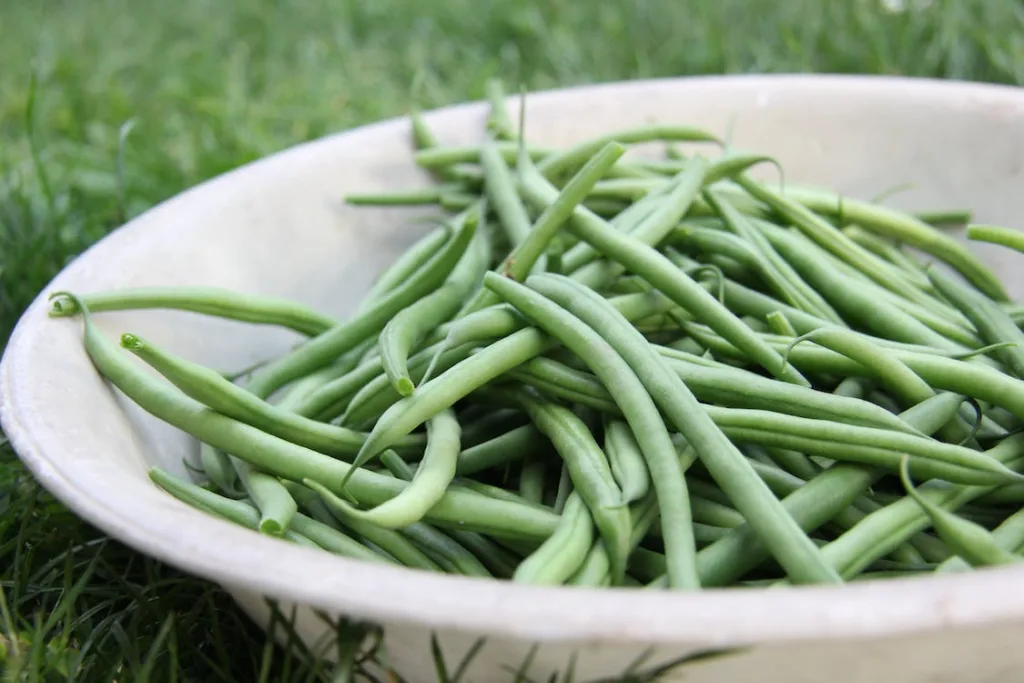 Substitutes for Brussel Sprouts - green beans