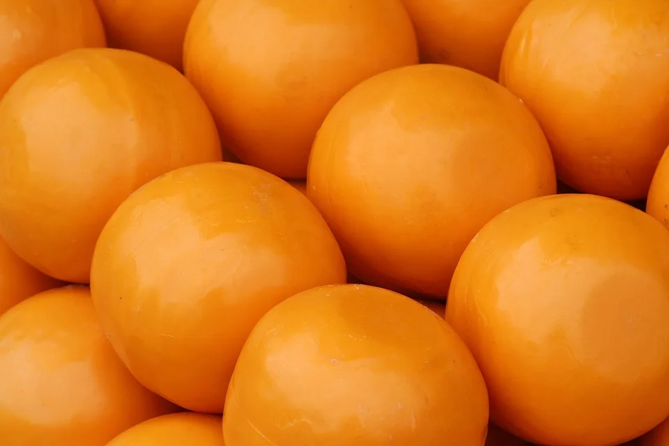 Edam Cheese