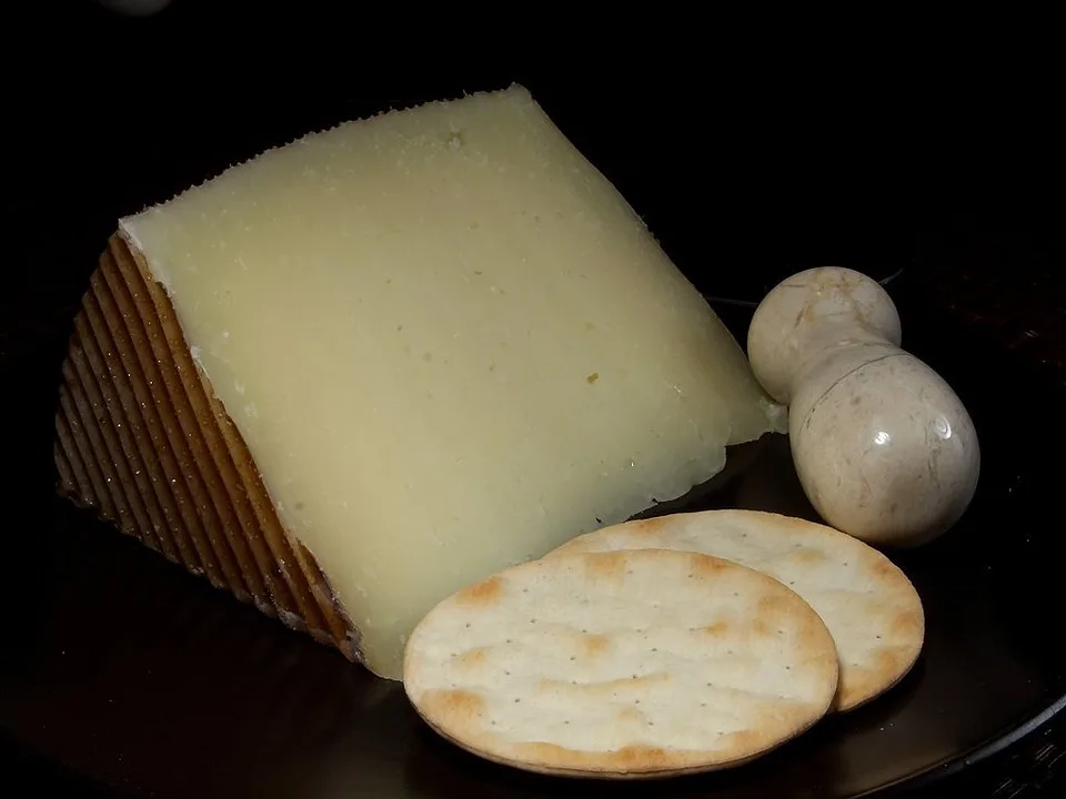 8 Best Caciocavallo Cheese Substitutes (Plus Everything You Need to Know About This Italian Classic) 7 Manchego Cheese
