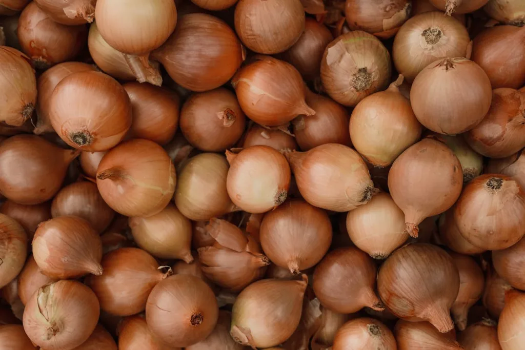 spanish onions