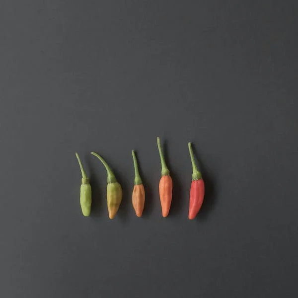 Thai bird's eye chili