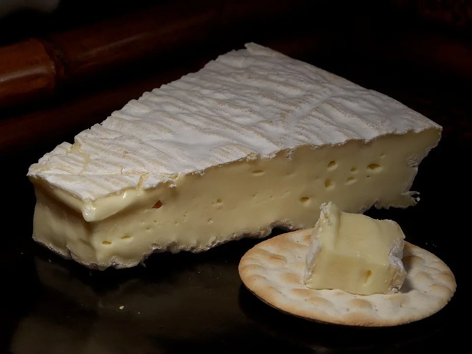 8 Best Camembert Cheese Substitutes (Plus the Full Camembert vs Brie Breakdown) 1 Brie cheese