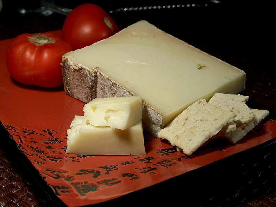 Fontina cheese - castelmagno cheese substitute