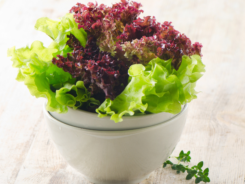 How Do I Store Freeze-Dried Lettuce