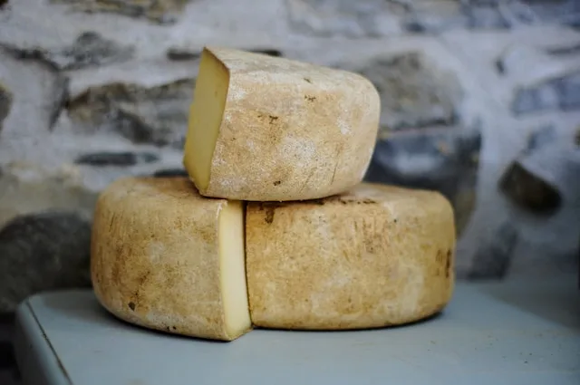 8 Best Camembert Cheese Substitutes (Plus the Full Camembert vs Brie Breakdown) 2 Taleggio cheese