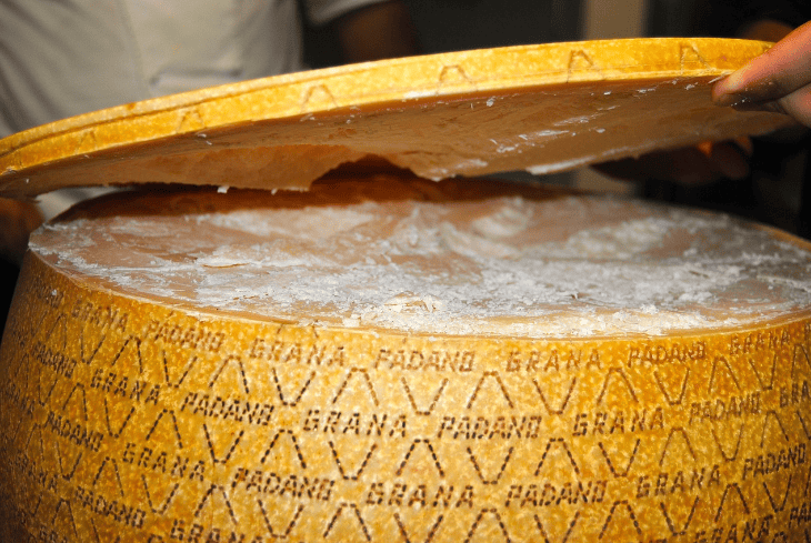 Grana Padano - Locatelli Cheese Substitutes