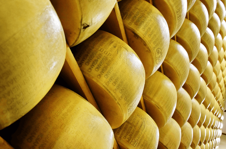 Parmigiano-Reggiano Cheese - Dubliner Cheese Substitute