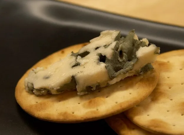 10 Best Stilton Cheese Substitutes 1 Roquefort cheese - Stilton cheese substitutes
