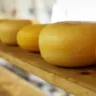 teleme cheese substitutes
