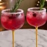 Cranberry Moscow Mule