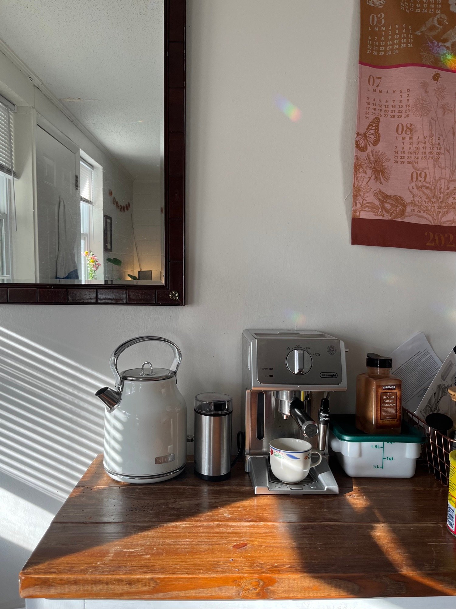 Dorm and First-Apartment Kitchen Essentials
